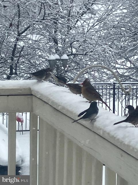 15700 TRAPSHIRE CT, WATERFORD, Virginia 20197, 5 Bedrooms Bedrooms, ,3 BathroomsBathrooms,Residential,For sale,15700 TRAPSHIRE CT,VALO2111108 MLS # VALO2111108 15700 TRAPSHIRE CT, WATERFORD, Virginia 20197, 5 Bedrooms Bedrooms, ,3 BathroomsBathrooms,Residential,For sale,15700 TRAPSHIRE CT,VALO2111108 MLS # VALO2111108