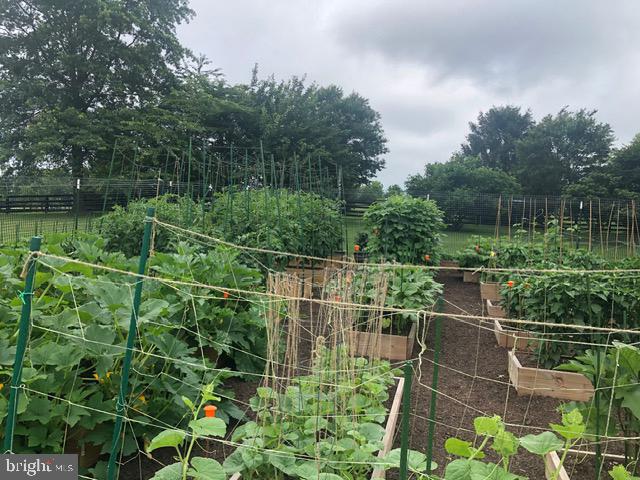 15700 TRAPSHIRE CT, WATERFORD, Virginia 20197, 5 Bedrooms Bedrooms, ,3 BathroomsBathrooms,Residential,For sale,15700 TRAPSHIRE CT,VALO2111108 MLS # VALO2111108