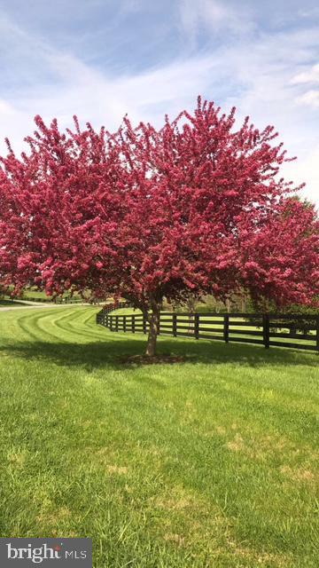 15700 TRAPSHIRE CT, WATERFORD, Virginia 20197, 5 Bedrooms Bedrooms, ,3 BathroomsBathrooms,Residential,For sale,15700 TRAPSHIRE CT,VALO2111108 MLS # VALO2111108