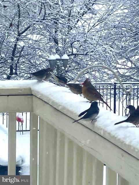 15700 TRAPSHIRE CT, WATERFORD, Virginia 20197, 5 Bedrooms Bedrooms, ,3 BathroomsBathrooms,Residential,For sale,15700 TRAPSHIRE CT,VALO2111108 MLS # VALO2111108