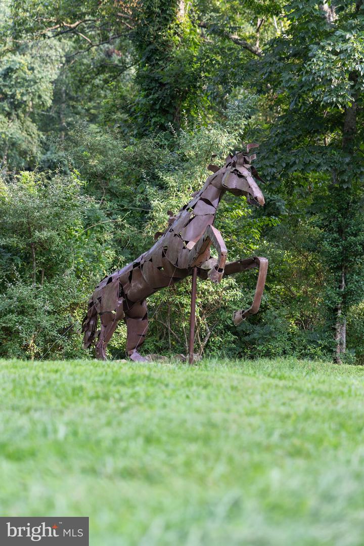 35162 NOTRE DAME LN, MIDDLEBURG, Virginia 20117, 4 Bedrooms Bedrooms, 12 Rooms Rooms,3 BathroomsBathrooms,Residential,For sale,35162 NOTRE DAME LN,VALO2111254 MLS # VALO2111254