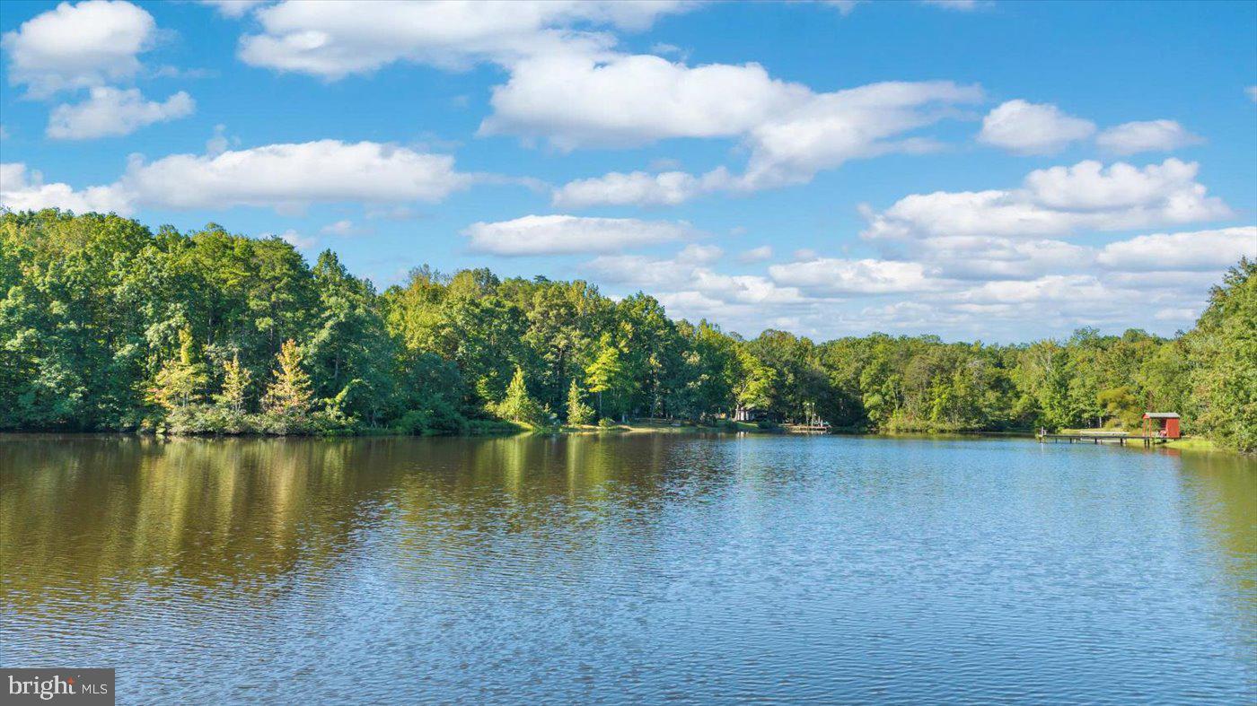 18 TURTLE ST, GUM SPRING, Virginia 23065, 1 Bedroom Bedrooms, ,1 BathroomBathrooms,Residential,For sale,18 TURTLE ST,VALA2008920 MLS # VALA2008920 18 TURTLE ST, GUM SPRING, Virginia 23065, 1 Bedroom Bedrooms, ,1 BathroomBathrooms,Residential,For sale,18 TURTLE ST,VALA2008920 MLS # VALA2008920