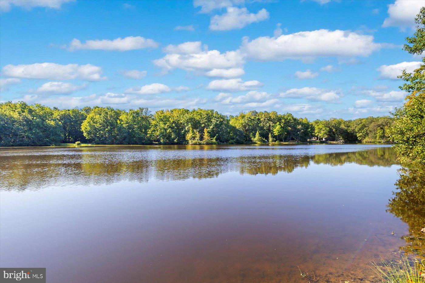 18 TURTLE ST, GUM SPRING, Virginia 23065, 1 Bedroom Bedrooms, ,1 BathroomBathrooms,Residential,For sale,18 TURTLE ST,VALA2008920 MLS # VALA2008920 18 TURTLE ST, GUM SPRING, Virginia 23065, 1 Bedroom Bedrooms, ,1 BathroomBathrooms,Residential,For sale,18 TURTLE ST,VALA2008920 MLS # VALA2008920