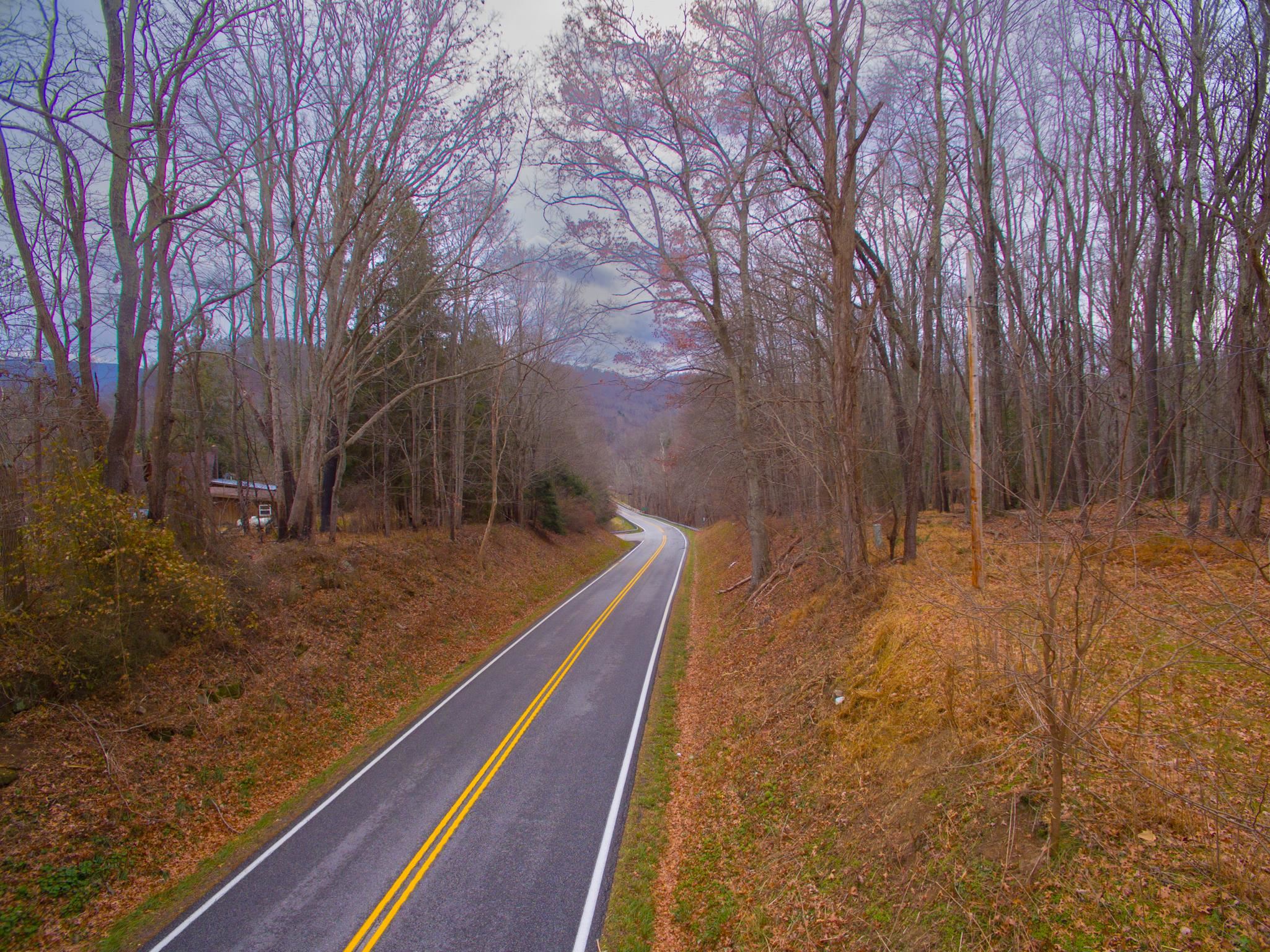 3763 POTOMAC RIVER RD, MONTEREY, Virginia 24465, ,Land,3763 POTOMAC RIVER RD,671207 MLS # 671207