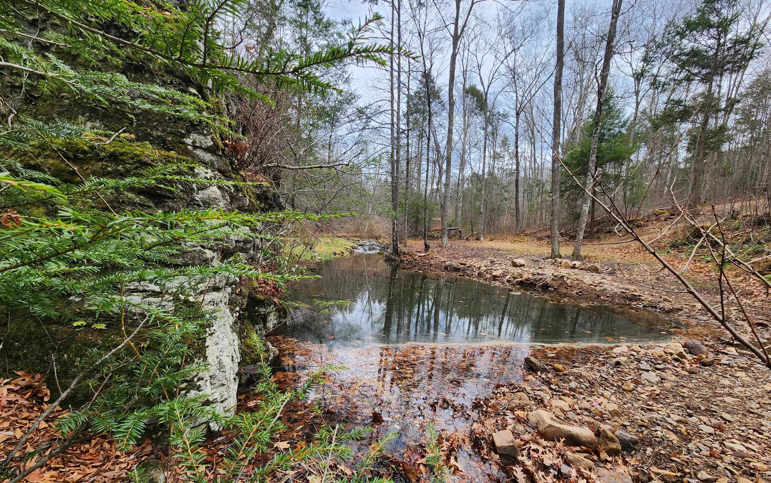 3763 POTOMAC RIVER RD, MONTEREY, Virginia 24465, ,Land,3763 POTOMAC RIVER RD,671207 MLS # 671207