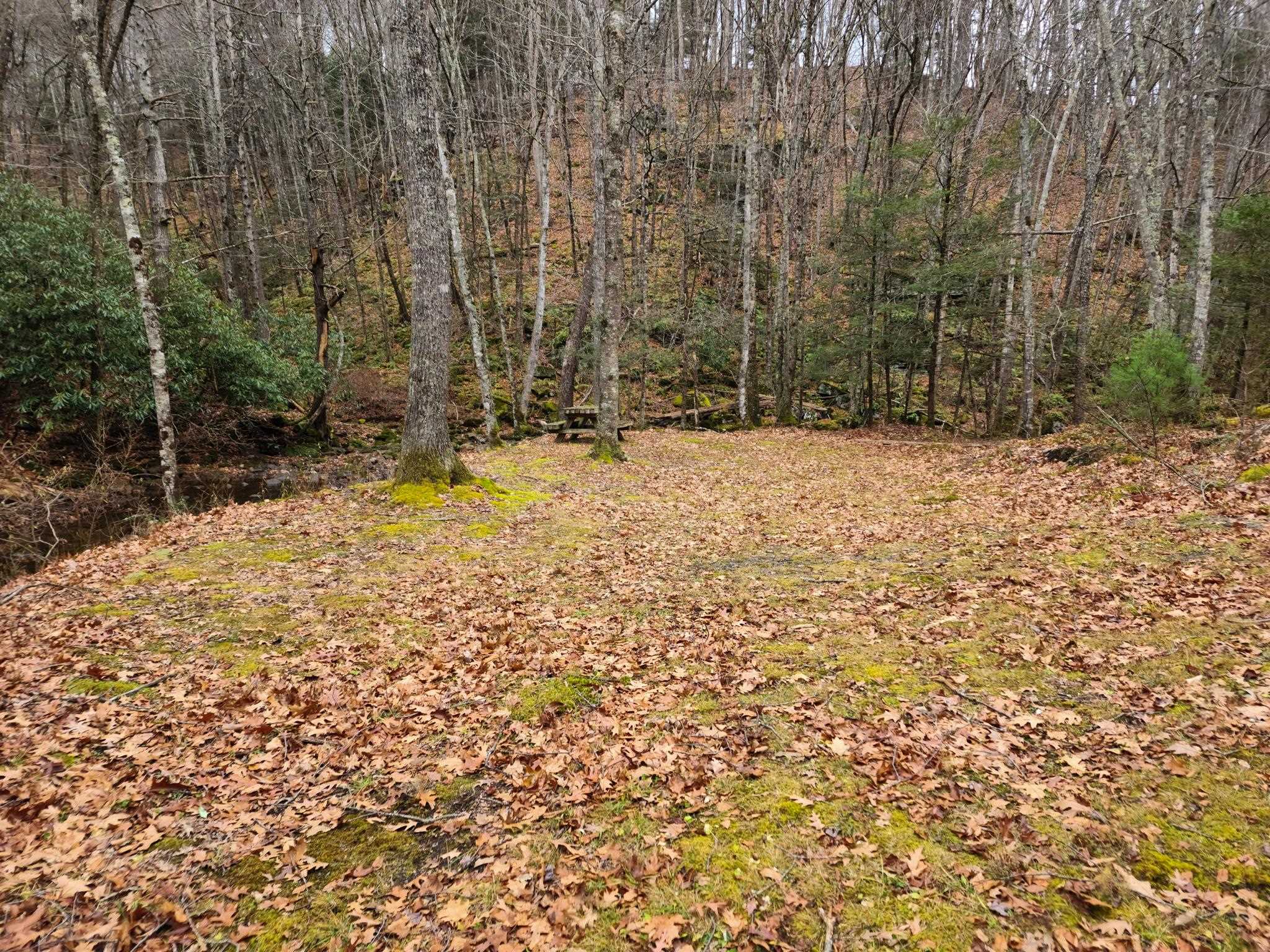 3763 POTOMAC RIVER RD, MONTEREY, Virginia 24465, ,Land,3763 POTOMAC RIVER RD,671207 MLS # 671207