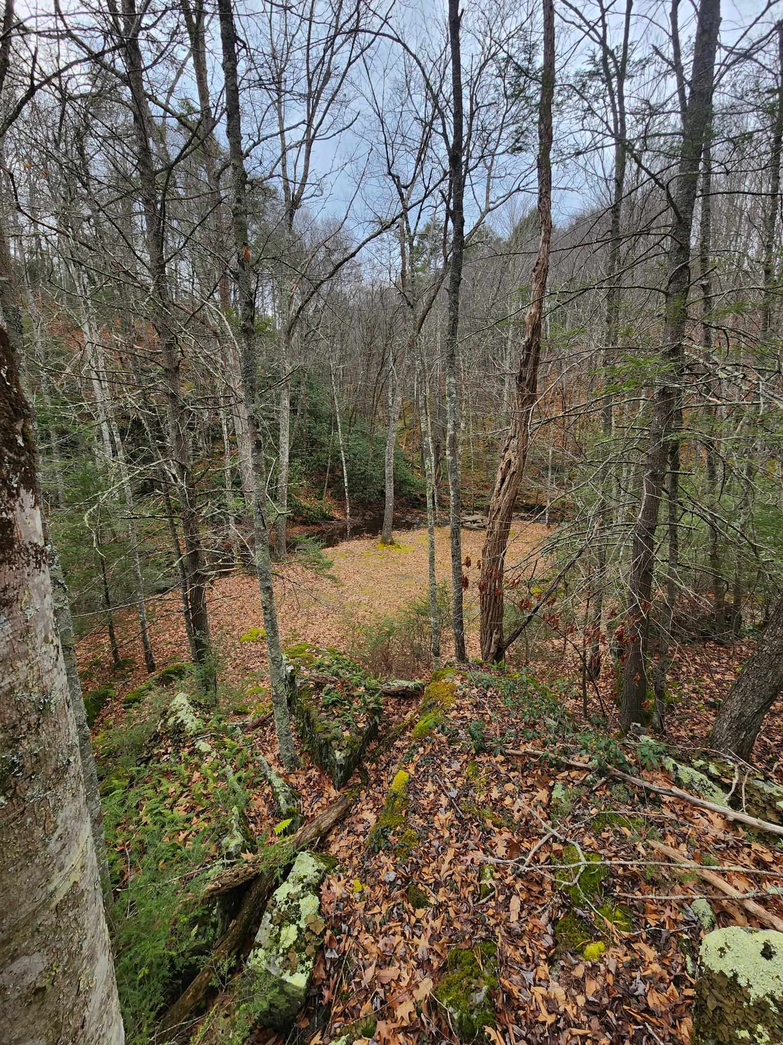 3763 POTOMAC RIVER RD, MONTEREY, Virginia 24465, ,Land,3763 POTOMAC RIVER RD,671207 MLS # 671207