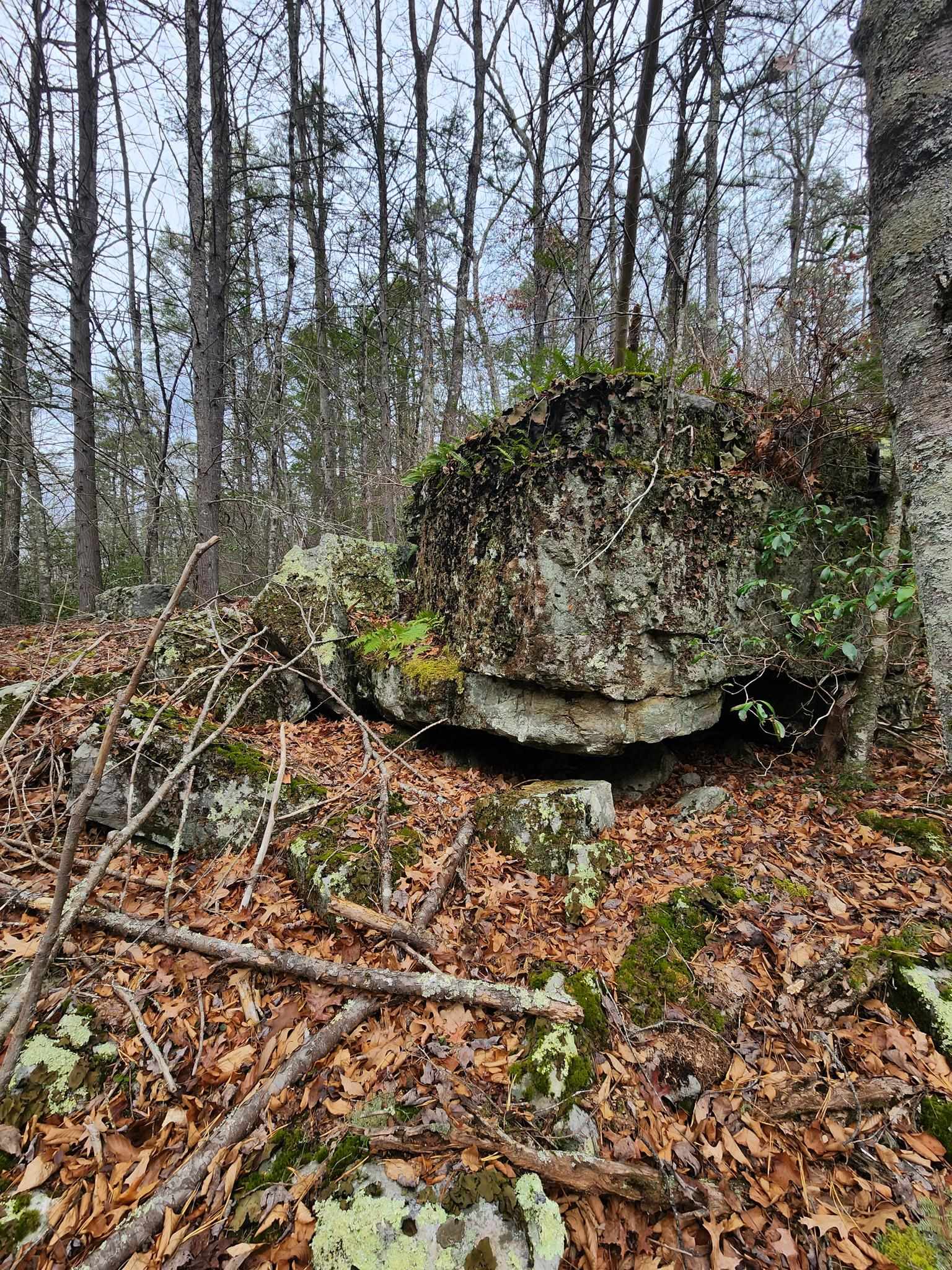 3763 POTOMAC RIVER RD, MONTEREY, Virginia 24465, ,Land,3763 POTOMAC RIVER RD,671207 MLS # 671207