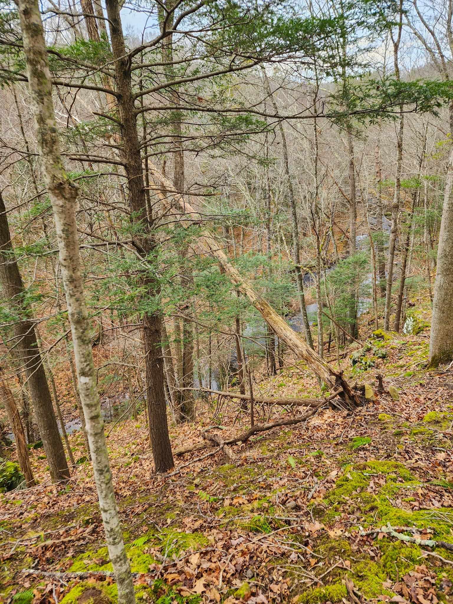 3763 POTOMAC RIVER RD, MONTEREY, Virginia 24465, ,Land,3763 POTOMAC RIVER RD,671207 MLS # 671207