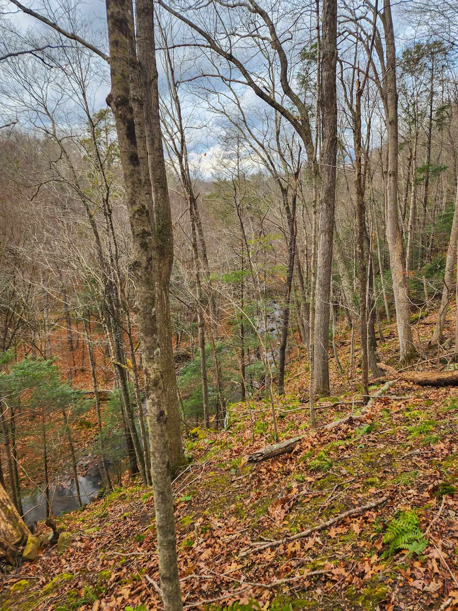 3763 POTOMAC RIVER RD, MONTEREY, Virginia 24465, ,Land,3763 POTOMAC RIVER RD,671207 MLS # 671207