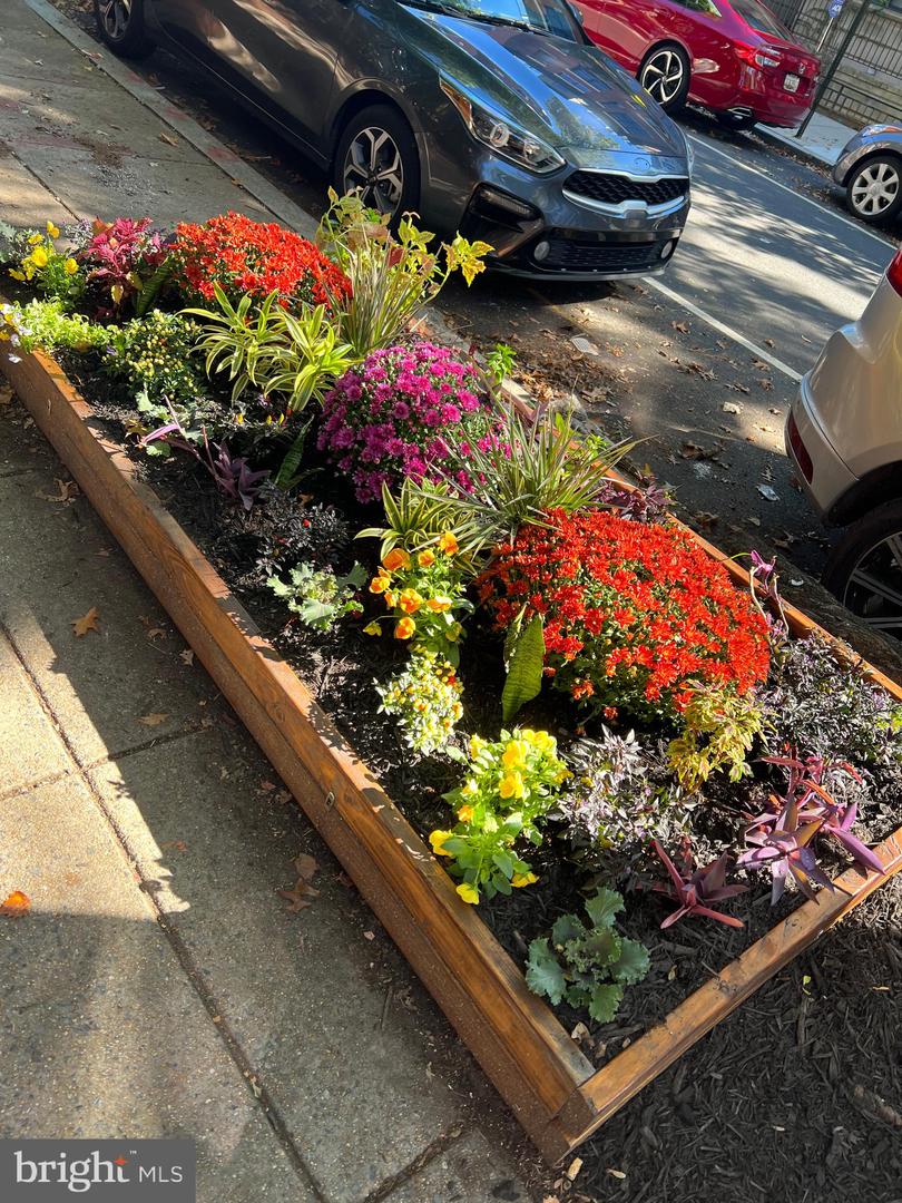 1717 EUCLID ST NW #1, WASHINGTON, District Of Columbia 20009, 1 Bedroom Bedrooms, 5 Rooms Rooms,2 BathroomsBathrooms,Residential,For sale,1717 EUCLID ST NW #1,DCDC2184726 MLS # DCDC2184726 1717 EUCLID ST NW #1, WASHINGTON, District Of Columbia 20009, 1 Bedroom Bedrooms, 5 Rooms Rooms,2 BathroomsBathrooms,Residential,For sale,1717 EUCLID ST NW #1,DCDC2184726 MLS # DCDC2184726