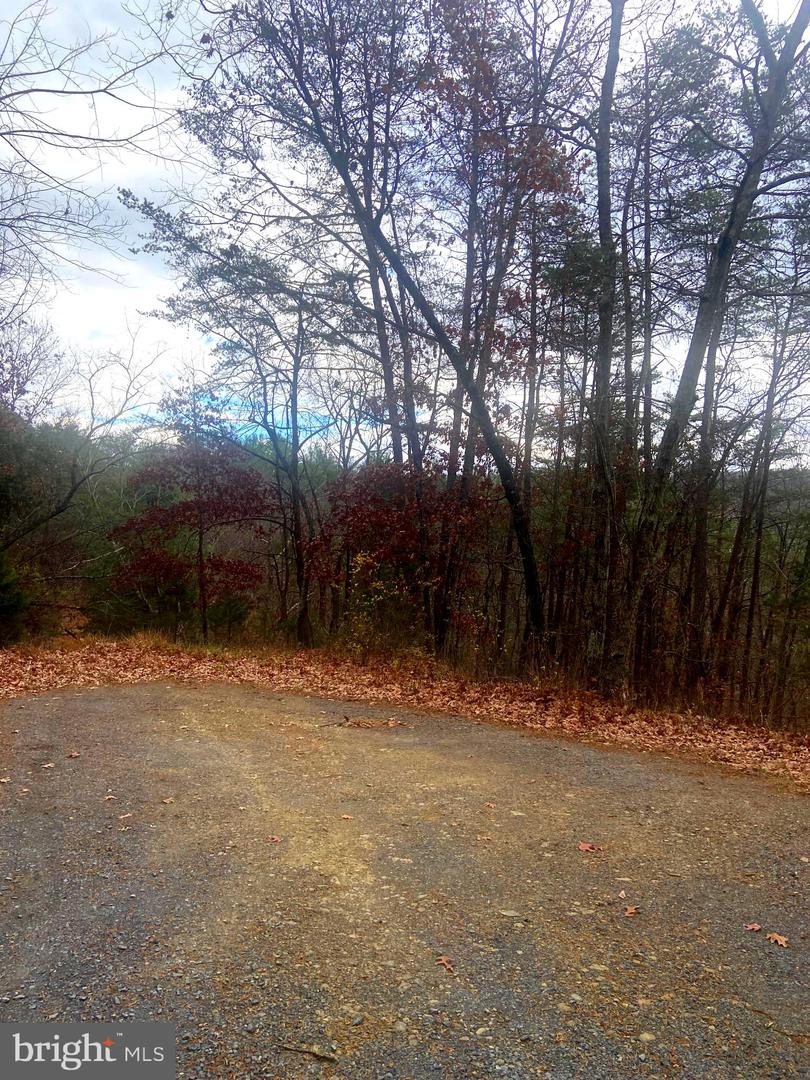 SPITZ LN., BASYE, Virginia 22810, ,Land,For sale,SPITZ LN.,VASH2013020 MLS # VASH2013020