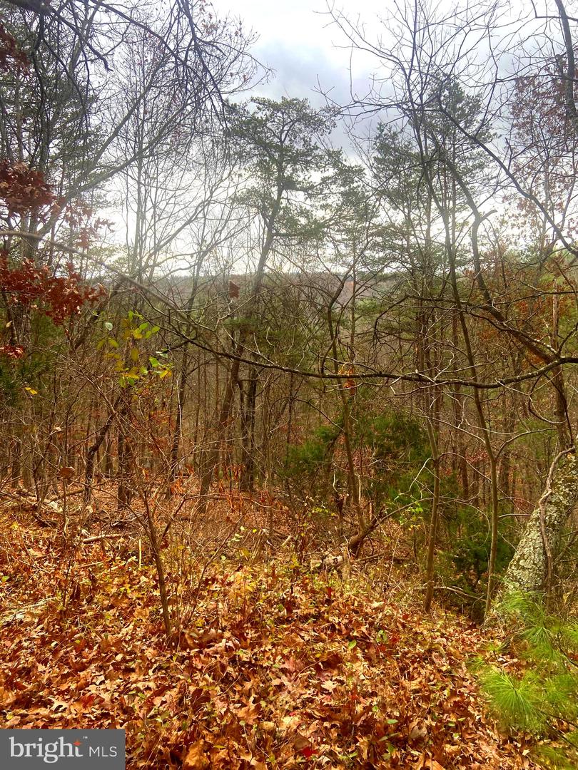 SPITZ LN., BASYE, Virginia 22810, ,Land,For sale,SPITZ LN.,VASH2013020 MLS # VASH2013020