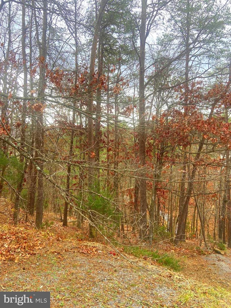 SPITZ LN., BASYE, Virginia 22810, ,Land,For sale,SPITZ LN.,VASH2013020 MLS # VASH2013020