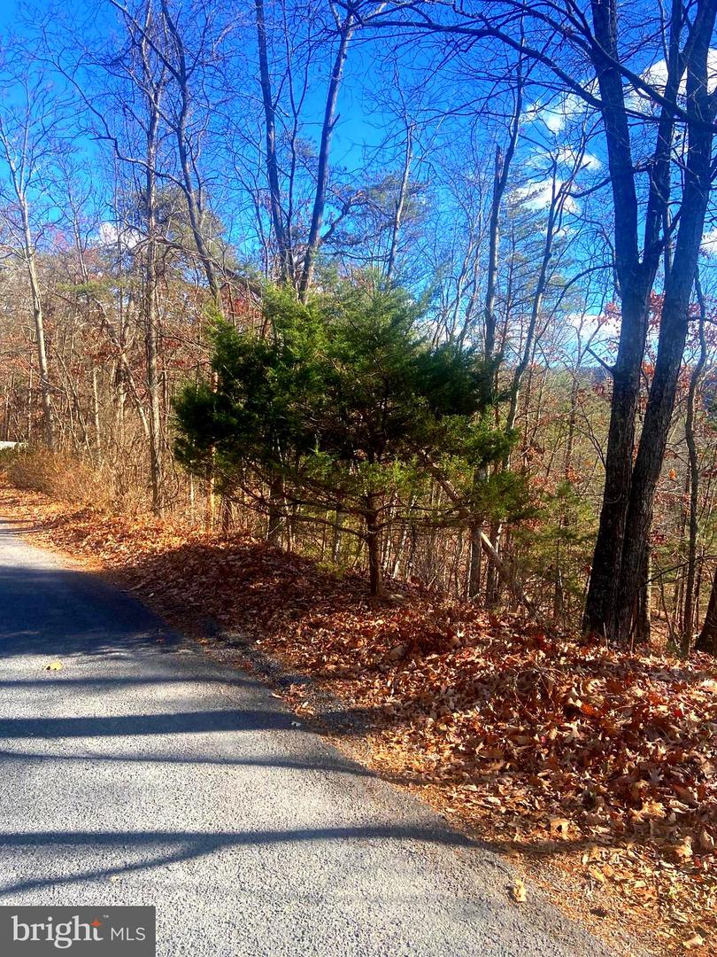 SPITZ LN., BASYE, Virginia 22810, ,Land,For sale,SPITZ LN.,VASH2013020 MLS # VASH2013020