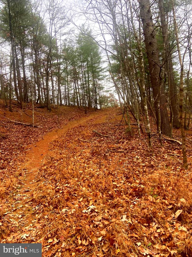 SPITZ LN., BASYE, Virginia 22810, ,Land,For sale,SPITZ LN.,VASH2013020 MLS # VASH2013020