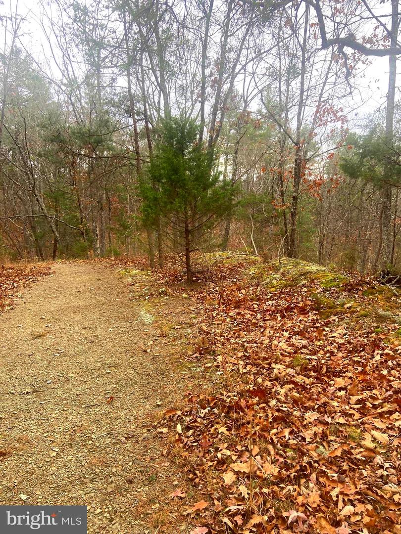 SPITZ LN., BASYE, Virginia 22810, ,Land,For sale,SPITZ LN.,VASH2013020 MLS # VASH2013020