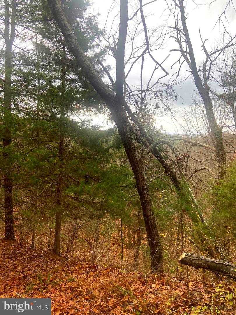 SPITZ LN., BASYE, Virginia 22810, ,Land,For sale,SPITZ LN.,VASH2013020 MLS # VASH2013020