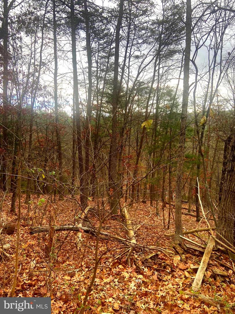 SPITZ LN., BASYE, Virginia 22810, ,Land,For sale,SPITZ LN.,VASH2013020 MLS # VASH2013020