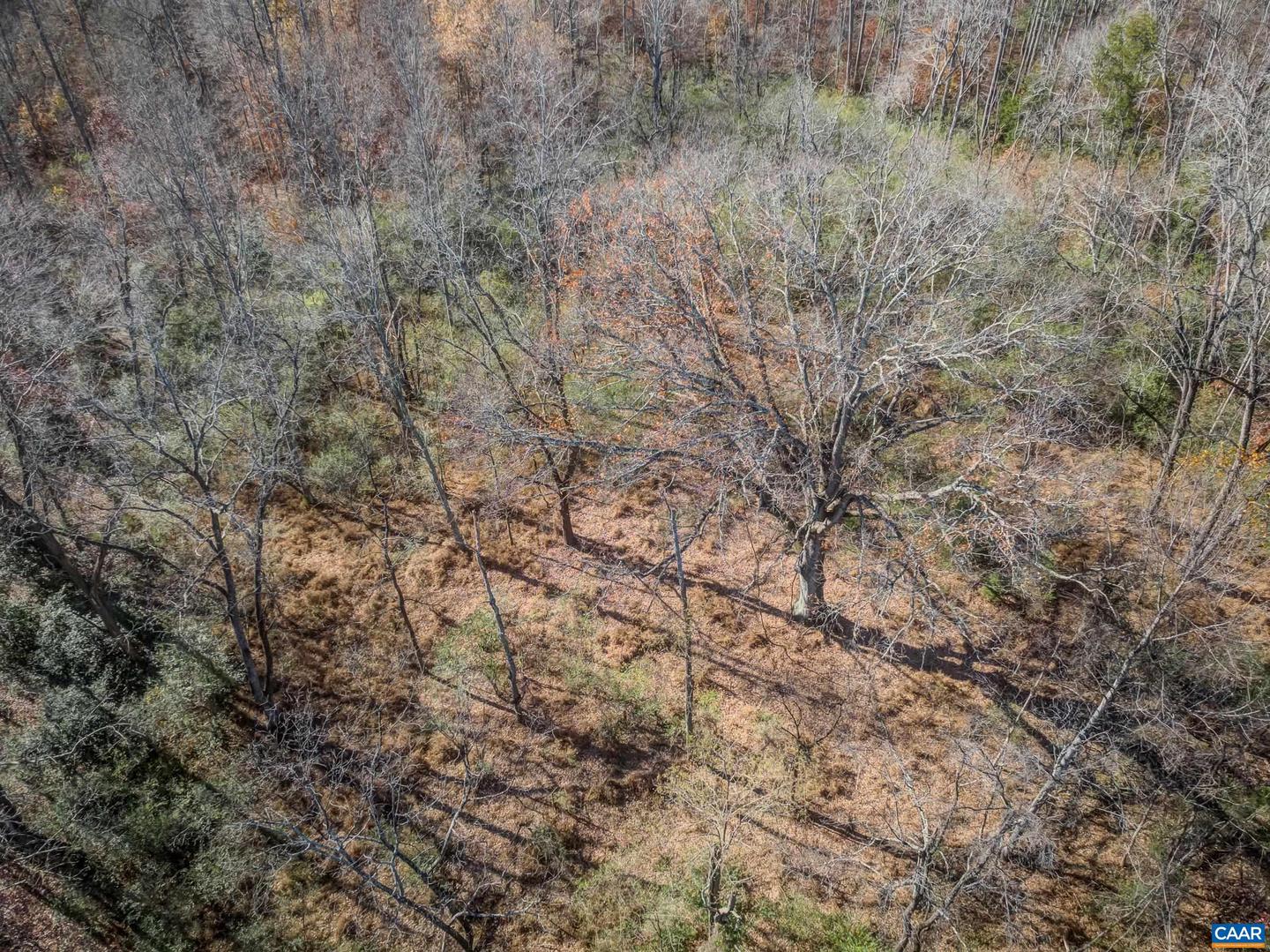 0 PORTERS RD, ESMONT, Virginia 22937, ,Land,For sale,0 PORTERS RD,671218 MLS # 671218