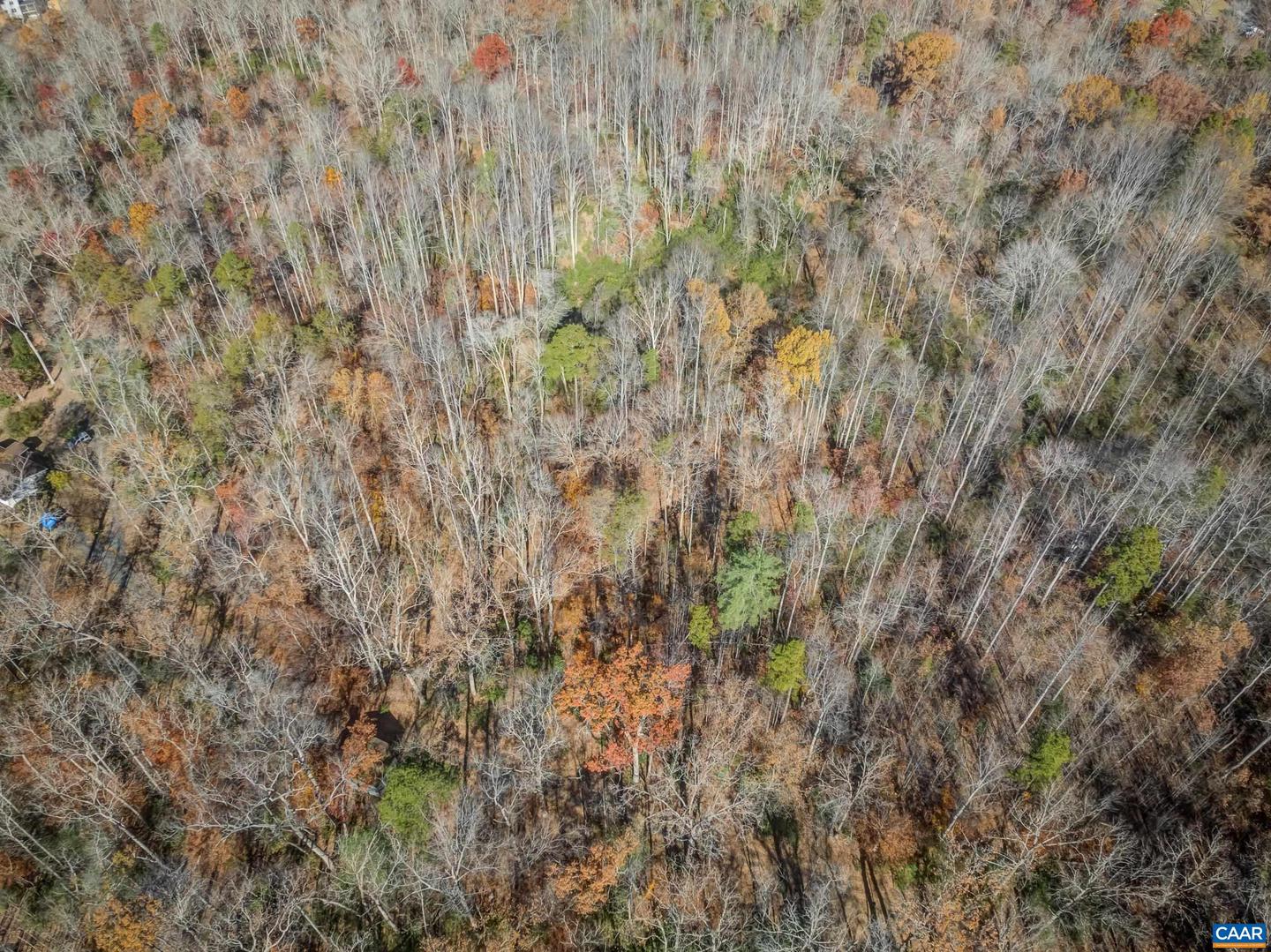 0 PORTERS RD, ESMONT, Virginia 22937, ,Land,For sale,0 PORTERS RD,671218 MLS # 671218