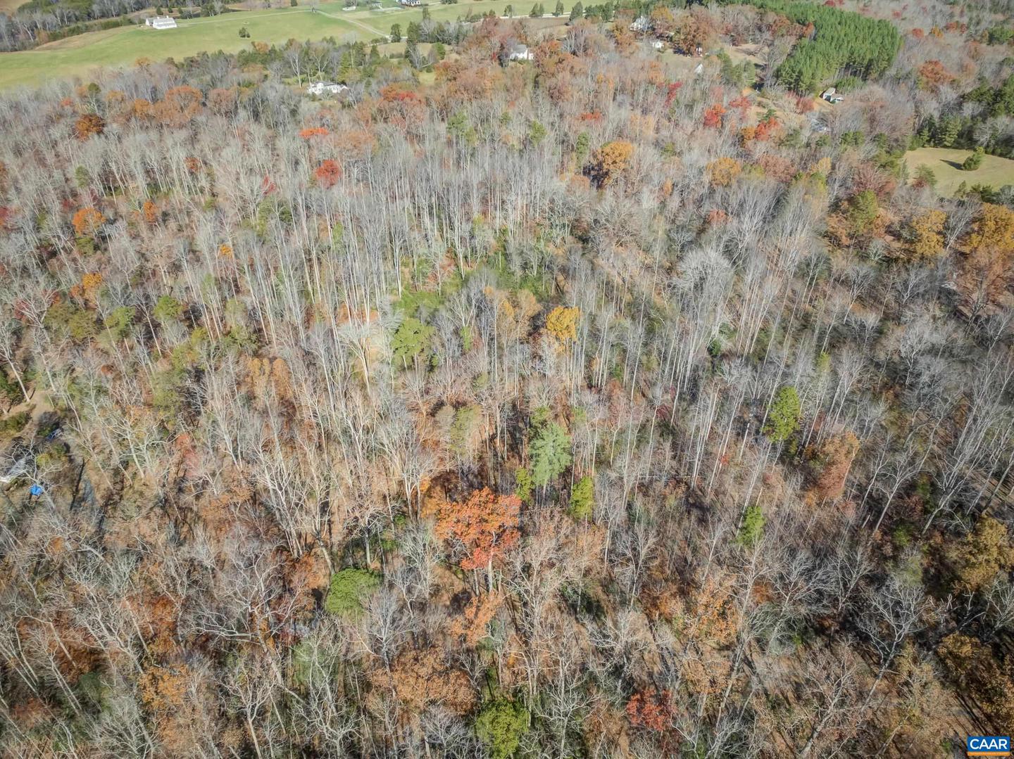 0 PORTERS RD, ESMONT, Virginia 22937, ,Land,For sale,0 PORTERS RD,671218 MLS # 671218