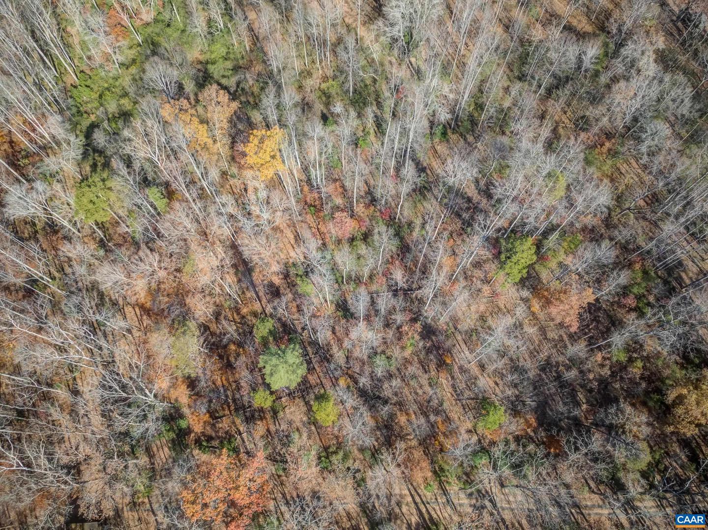 0 PORTERS RD, ESMONT, Virginia 22937, ,Land,For sale,0 PORTERS RD,671218 MLS # 671218