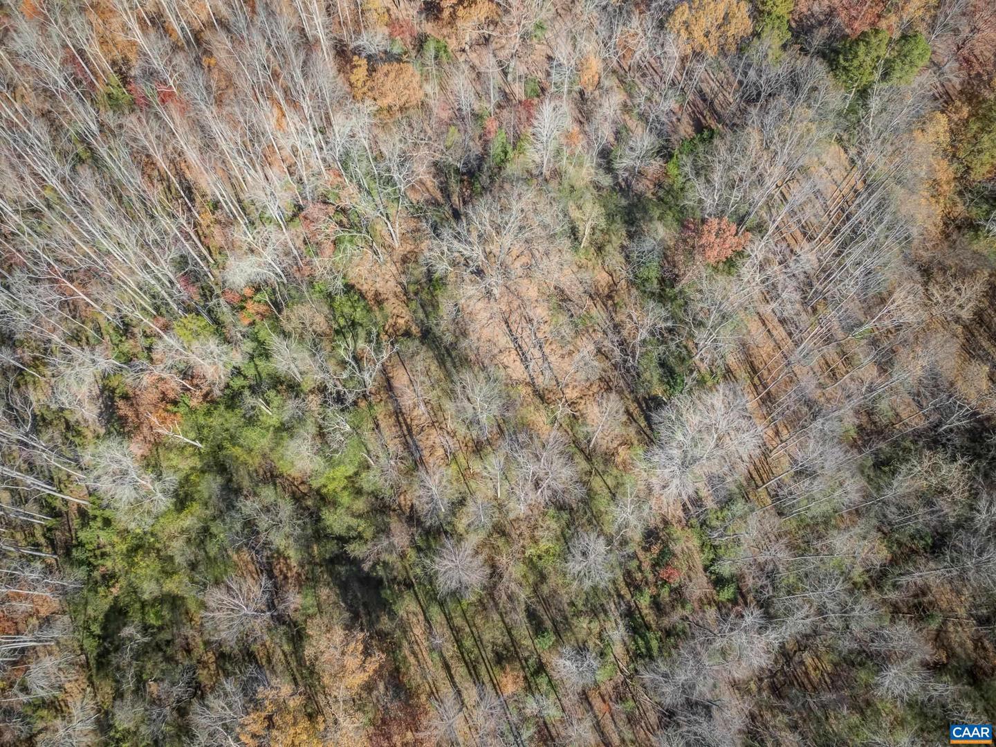 0 PORTERS RD, ESMONT, Virginia 22937, ,Land,For sale,0 PORTERS RD,671218 MLS # 671218