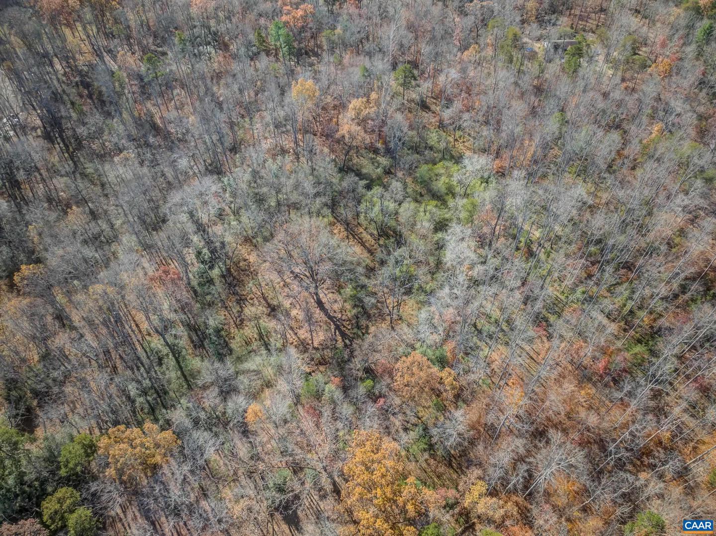 0 PORTERS RD, ESMONT, Virginia 22937, ,Land,For sale,0 PORTERS RD,671218 MLS # 671218