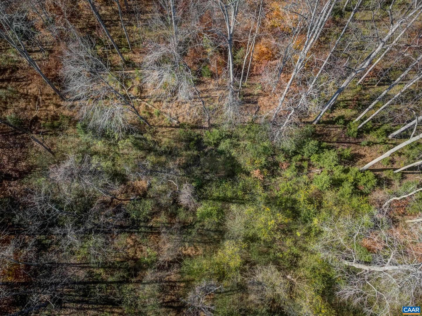 0 PORTERS RD, ESMONT, Virginia 22937, ,Land,For sale,0 PORTERS RD,671218 MLS # 671218