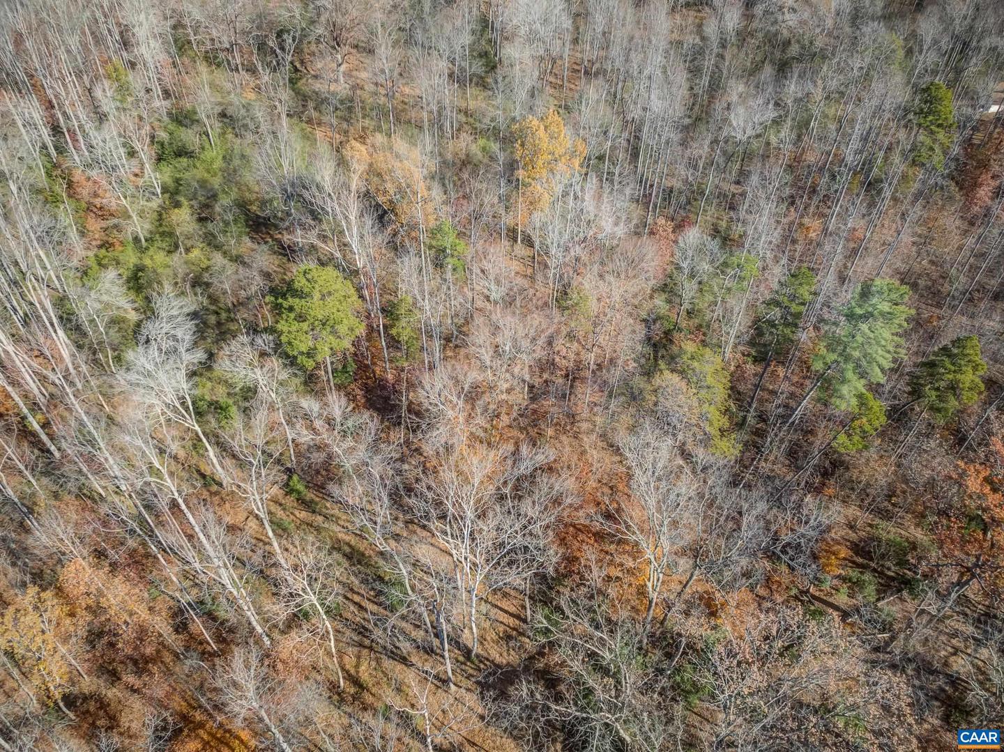 0 PORTERS RD, ESMONT, Virginia 22937, ,Land,For sale,0 PORTERS RD,671218 MLS # 671218