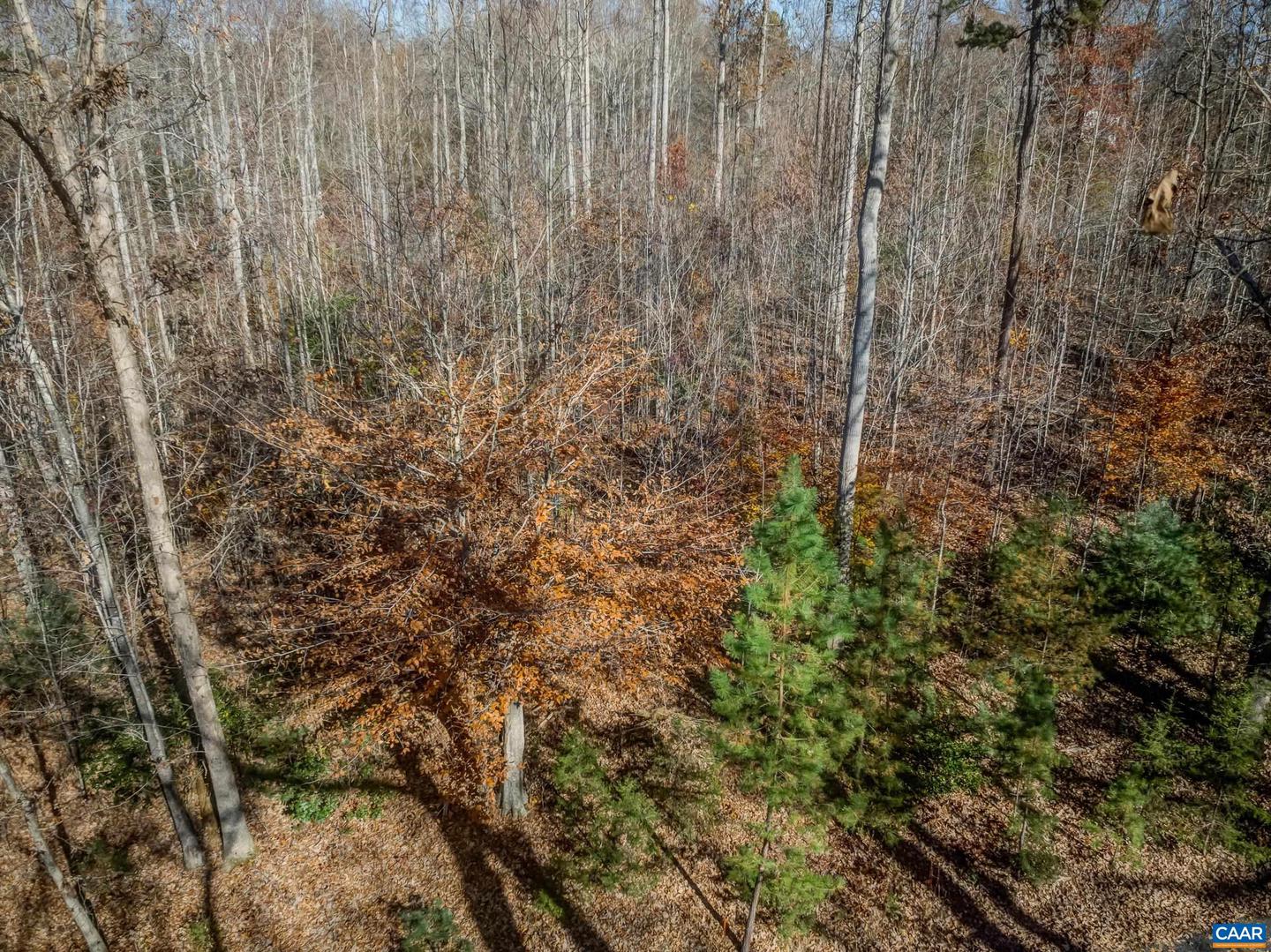 0 PORTERS RD, ESMONT, Virginia 22937, ,Land,For sale,0 PORTERS RD,671218 MLS # 671218