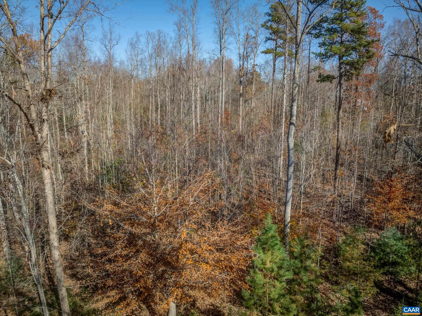 0 PORTERS RD, ESMONT, Virginia 22937, ,Land,For sale,0 PORTERS RD,671218 MLS # 671218