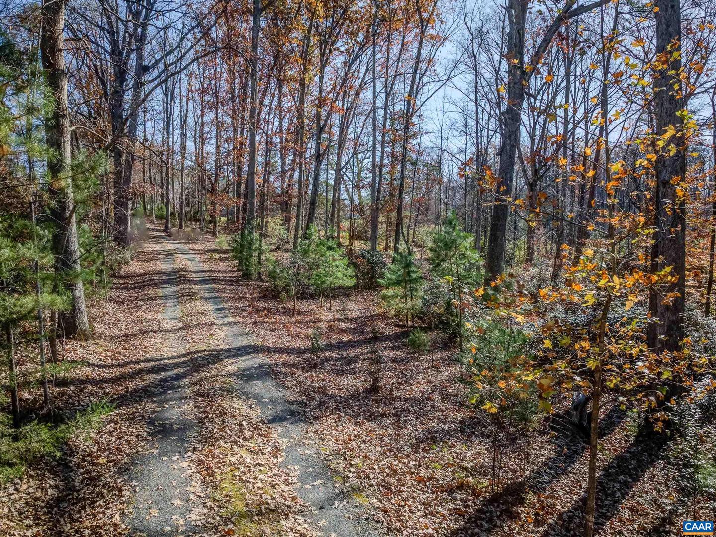 0 PORTERS RD, ESMONT, Virginia 22937, ,Land,For sale,0 PORTERS RD,671218 MLS # 671218