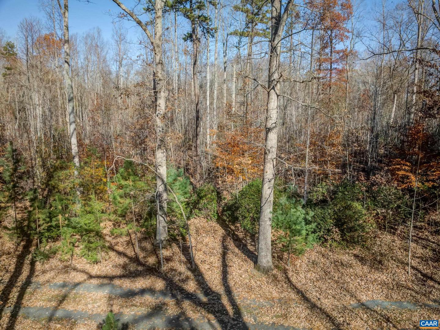 0 PORTERS RD, ESMONT, Virginia 22937, ,Land,For sale,0 PORTERS RD,671218 MLS # 671218