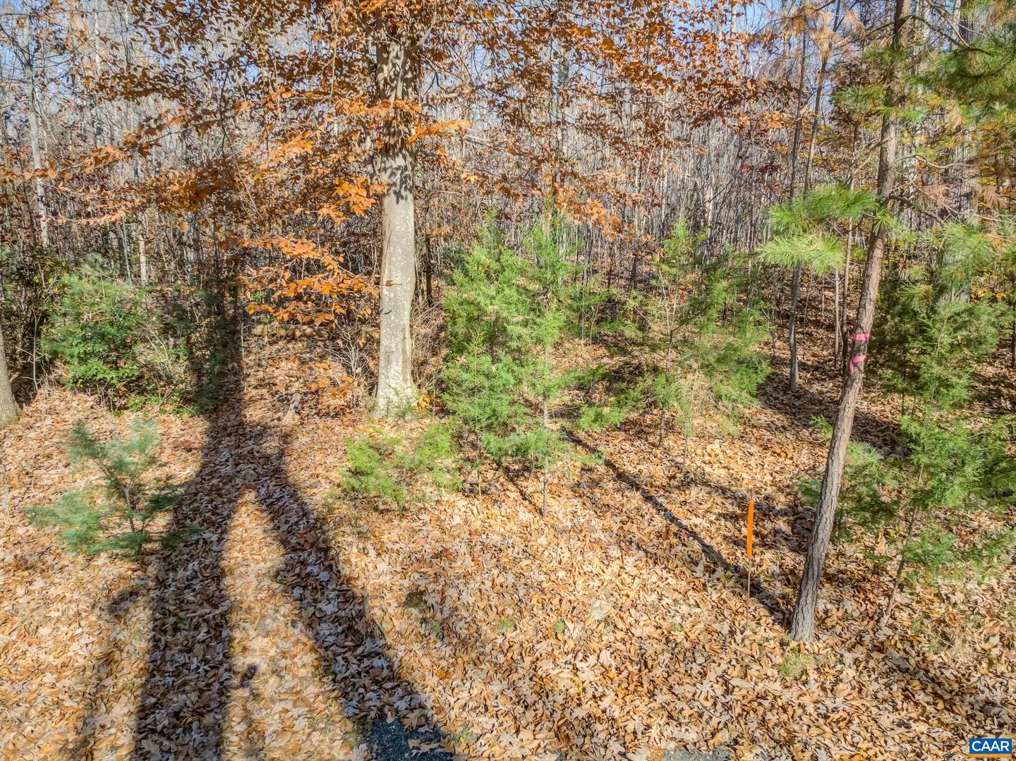 0 PORTERS RD, ESMONT, Virginia 22937, ,Land,For sale,0 PORTERS RD,671218 MLS # 671218