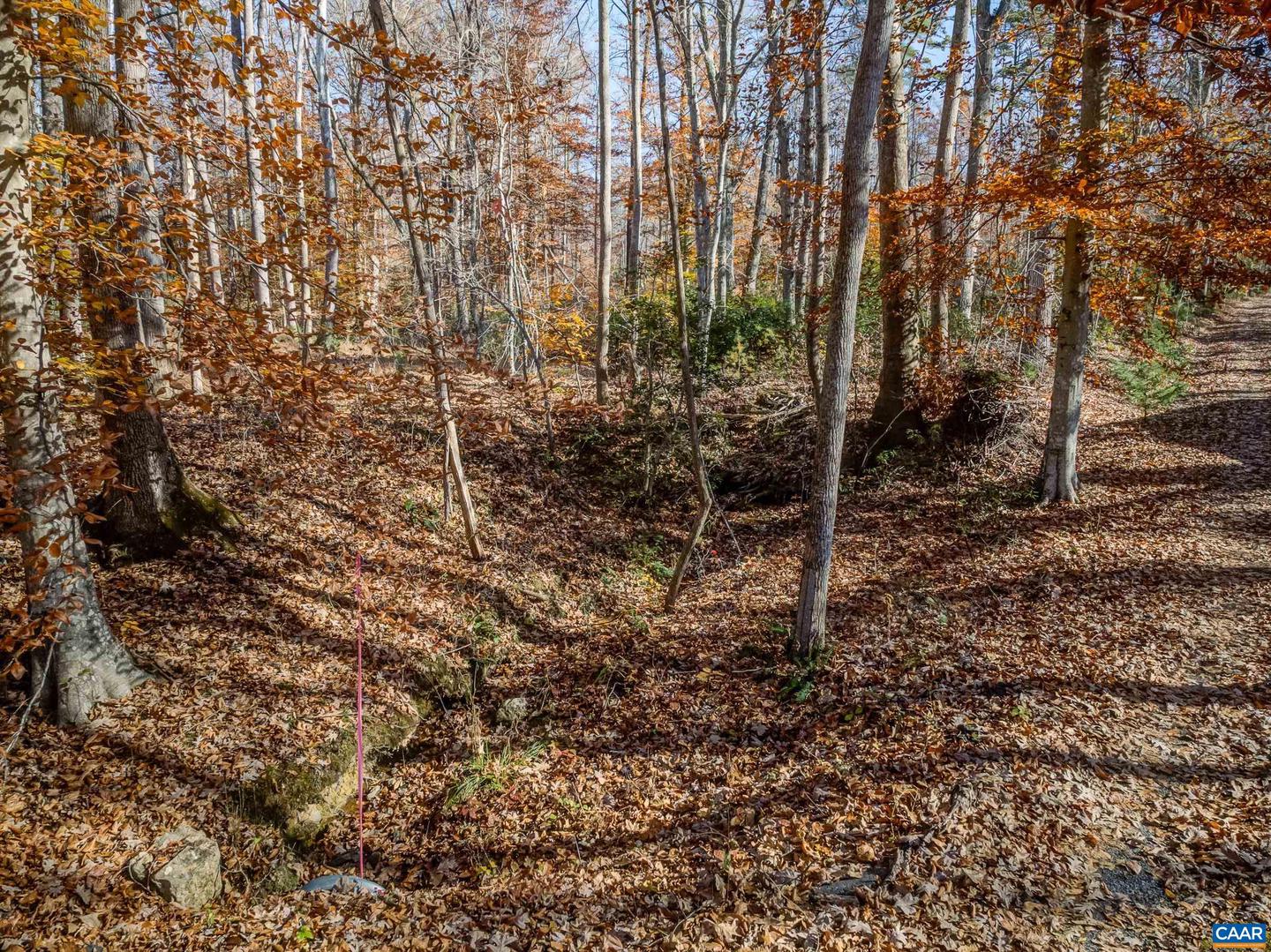 0 PORTERS RD, ESMONT, Virginia 22937, ,Land,For sale,0 PORTERS RD,671218 MLS # 671218