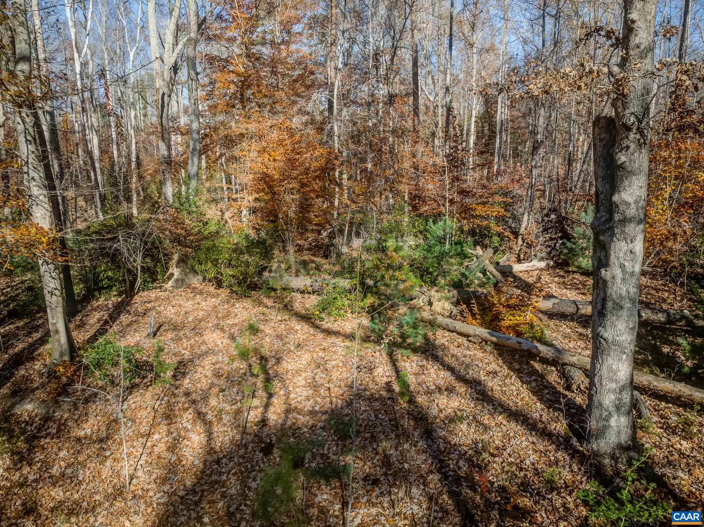 0 PORTERS RD, ESMONT, Virginia 22937, ,Land,For sale,0 PORTERS RD,671218 MLS # 671218