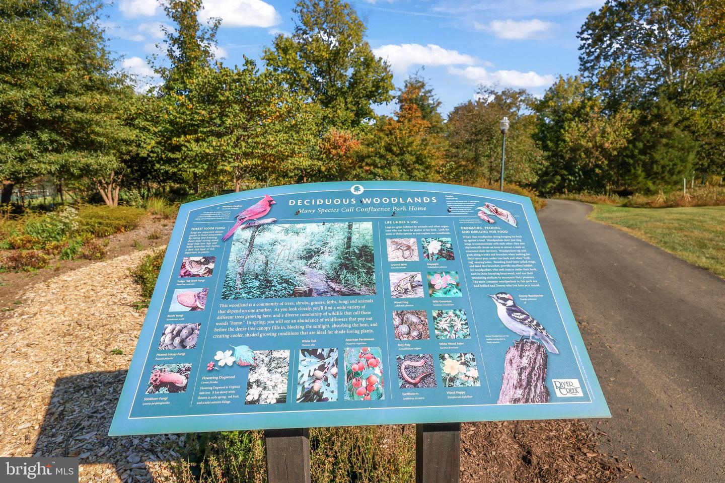 18441 LANIER ISLAND SQ, LEESBURG, Virginia 20176, 3 Bedrooms Bedrooms, ,4 BathroomsBathrooms,Residential,For sale,18441 LANIER ISLAND SQ,VALO2106880 MLS # VALO2106880 18441 LANIER ISLAND SQ, LEESBURG, Virginia 20176, 3 Bedrooms Bedrooms, ,4 BathroomsBathrooms,Residential,For sale,18441 LANIER ISLAND SQ,VALO2106880 MLS # VALO2106880