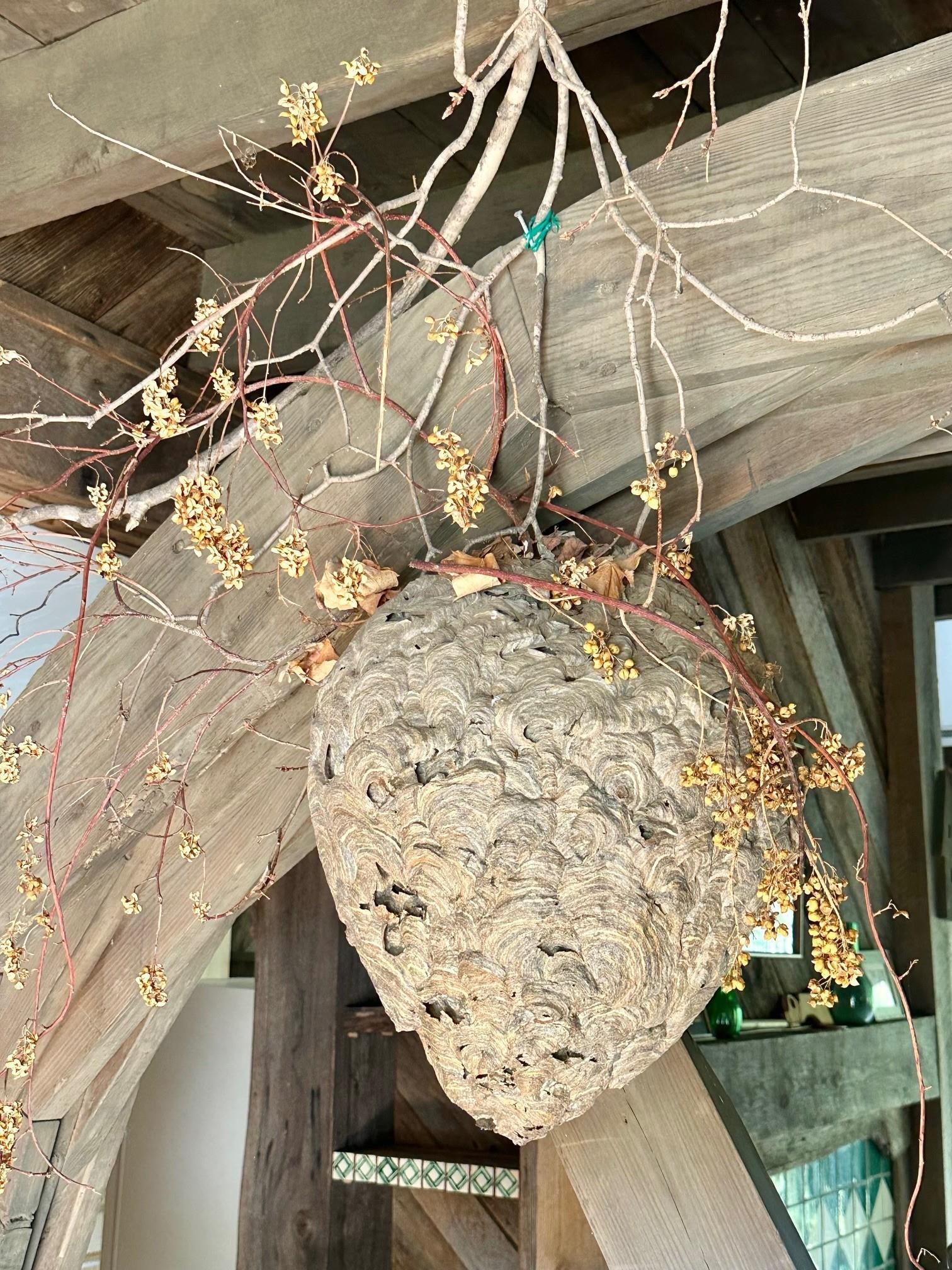 6602 MIDDLEBROOK RD, MIDDLEBROOK, Virginia 24459, 3 Bedrooms Bedrooms, ,2 BathroomsBathrooms,Residential,Moffatt's Creek Mill https://millpictures.com/m,6602 MIDDLEBROOK RD,669141 MLS # 669141