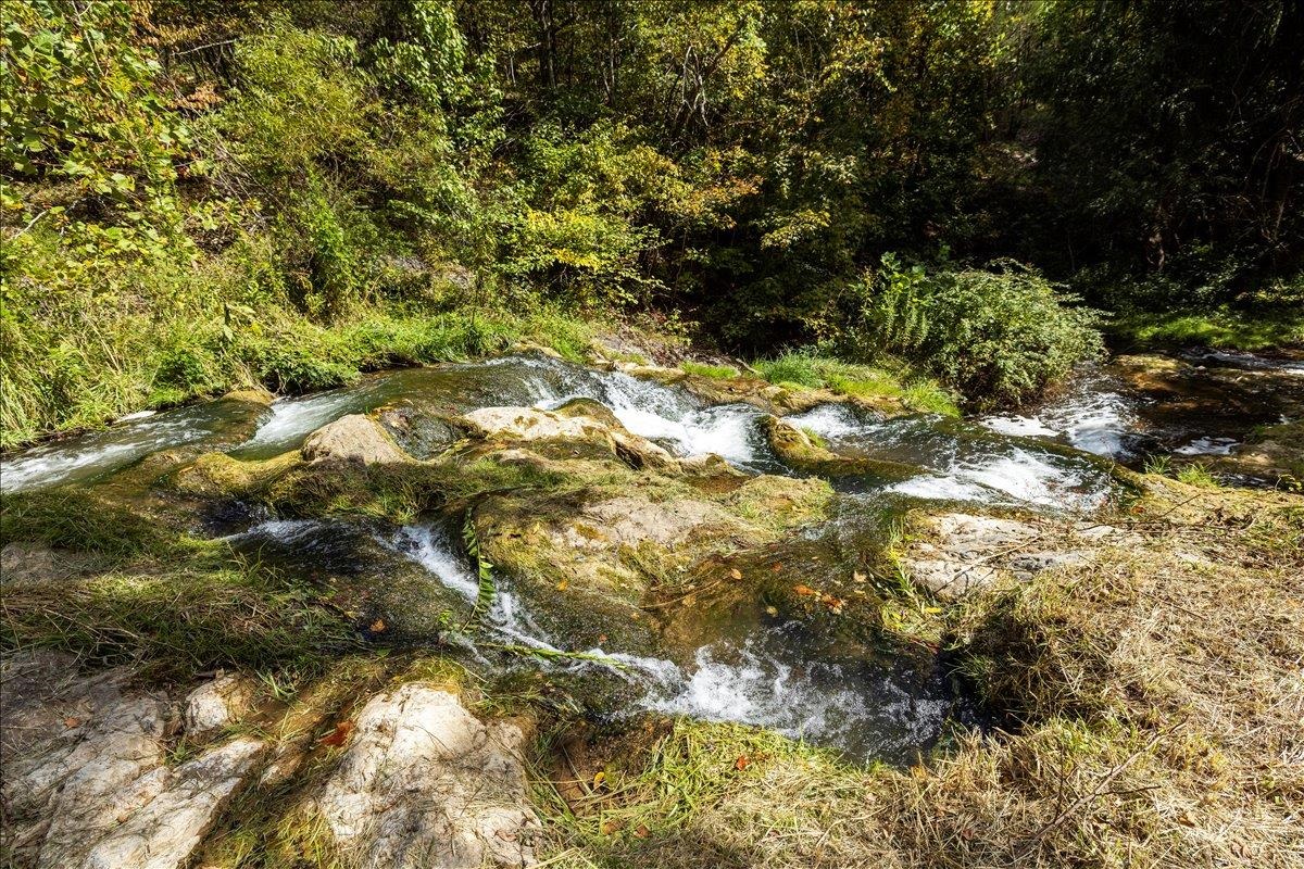 6602 MIDDLEBROOK RD, MIDDLEBROOK, Virginia 24459, 3 Bedrooms Bedrooms, ,2 BathroomsBathrooms,Residential,Moffatt's Creek Mill https://millpictures.com/m,6602 MIDDLEBROOK RD,669141 MLS # 669141