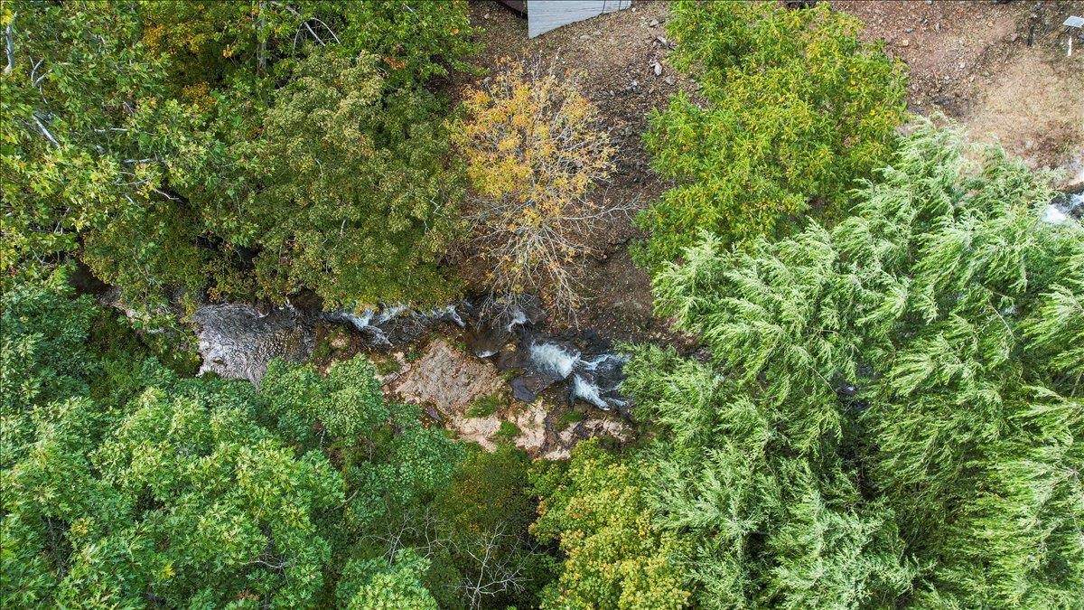 6602 MIDDLEBROOK RD, MIDDLEBROOK, Virginia 24459, 3 Bedrooms Bedrooms, ,2 BathroomsBathrooms,Residential,Moffatt's Creek Mill https://millpictures.com/m,6602 MIDDLEBROOK RD,669141 MLS # 669141