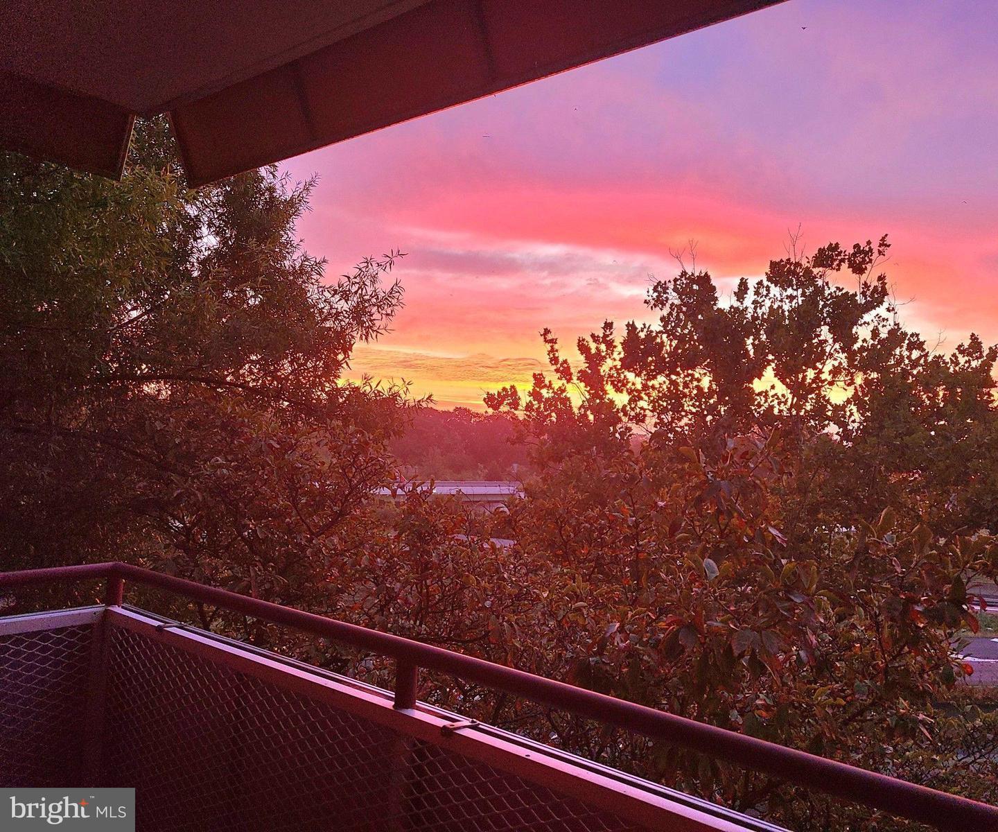 1021 ARLINGTON BLVD #330, ARLINGTON, Virginia 22209, 1 Bedroom Bedrooms, ,1 BathroomBathrooms,Residential,For sale,1021 ARLINGTON BLVD #330,VAAR2064332 MLS # VAAR2064332