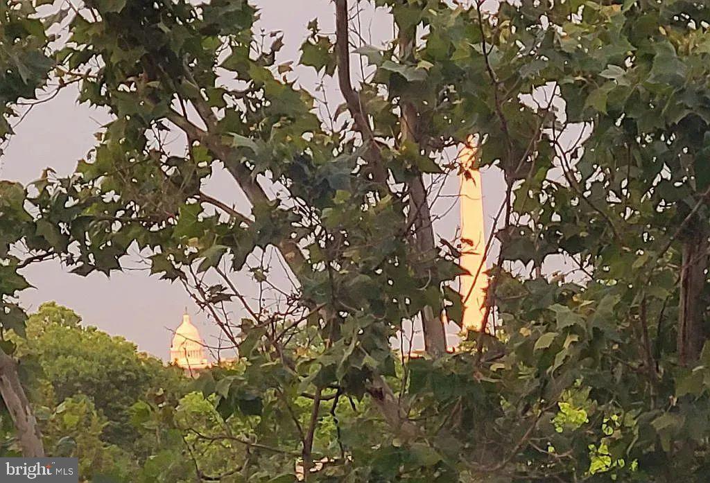 1021 ARLINGTON BLVD #330, ARLINGTON, Virginia 22209, 1 Bedroom Bedrooms, ,1 BathroomBathrooms,Residential,For sale,1021 ARLINGTON BLVD #330,VAAR2064332 MLS # VAAR2064332