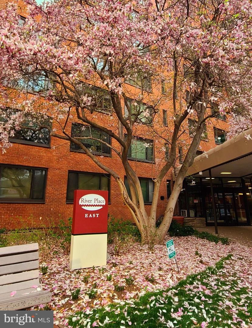 1021 ARLINGTON BLVD #330, ARLINGTON, Virginia 22209, 1 Bedroom Bedrooms, ,1 BathroomBathrooms,Residential,For sale,1021 ARLINGTON BLVD #330,VAAR2064332 MLS # VAAR2064332