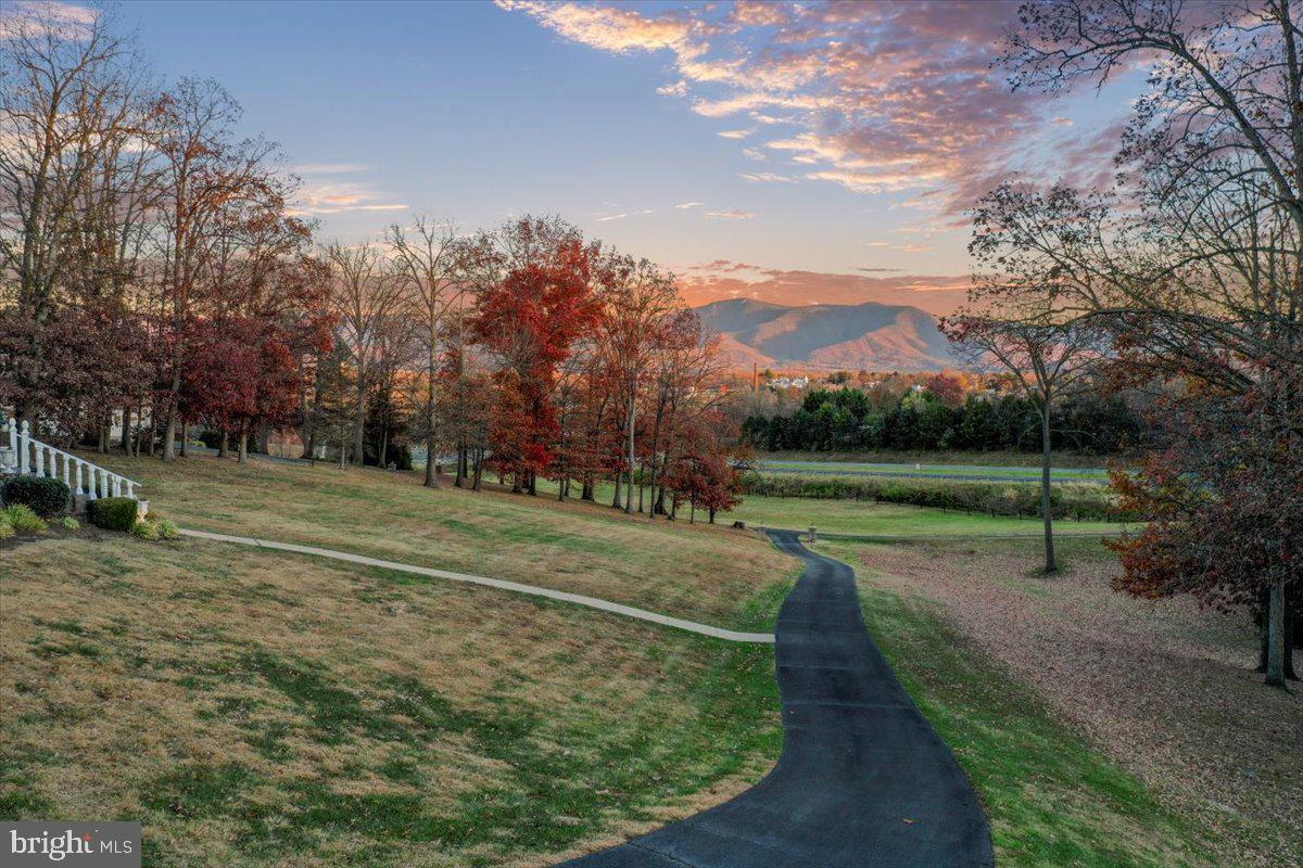 100 COTTAGE DR, LURAY, Virginia 22835, 4 Bedrooms Bedrooms, ,4 BathroomsBathrooms,Residential,For sale,100 COTTAGE DR,VAPA2005564 MLS # VAPA2005564