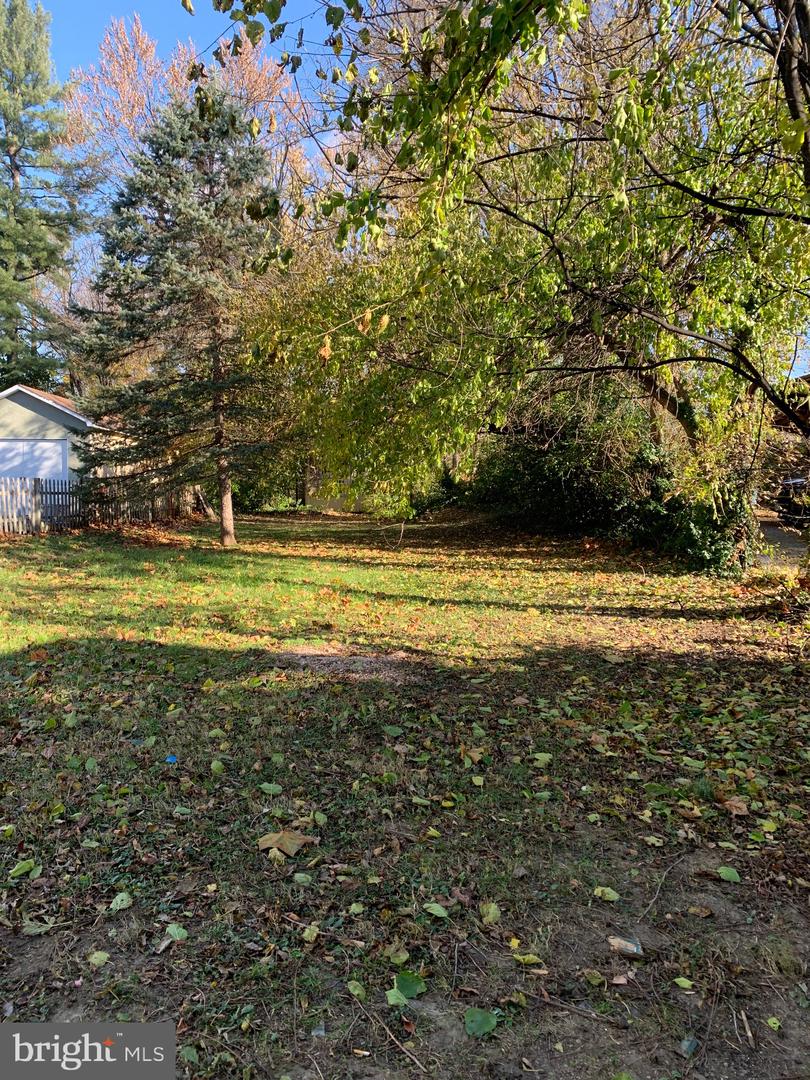 306 E MAIN ST, BERRYVILLE, Virginia 22611, 3 Bedrooms Bedrooms, ,2 BathroomsBathrooms,Residential,For sale,306 E MAIN ST,VACL2006230 MLS # VACL2006230 306 E MAIN ST, BERRYVILLE, Virginia 22611, 3 Bedrooms Bedrooms, ,2 BathroomsBathrooms,Residential,For sale,306 E MAIN ST,VACL2006230 MLS # VACL2006230