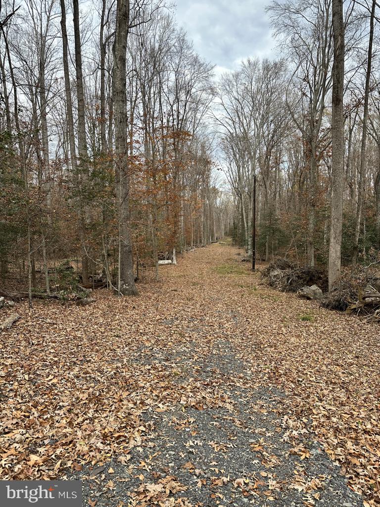 14409 SPOTSWOOD FURNACE RD, FREDERICKSBURG, Virginia 22407, ,Land,For sale,14409 SPOTSWOOD FURNACE RD,VASP2037596 MLS # VASP2037596