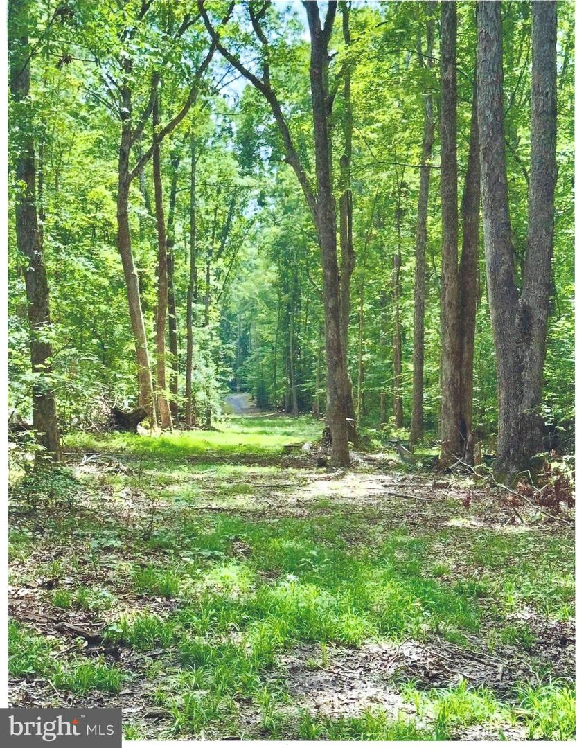 14409 SPOTSWOOD FURNACE RD, FREDERICKSBURG, Virginia 22407, ,Land,For sale,14409 SPOTSWOOD FURNACE RD,VASP2037596 MLS # VASP2037596