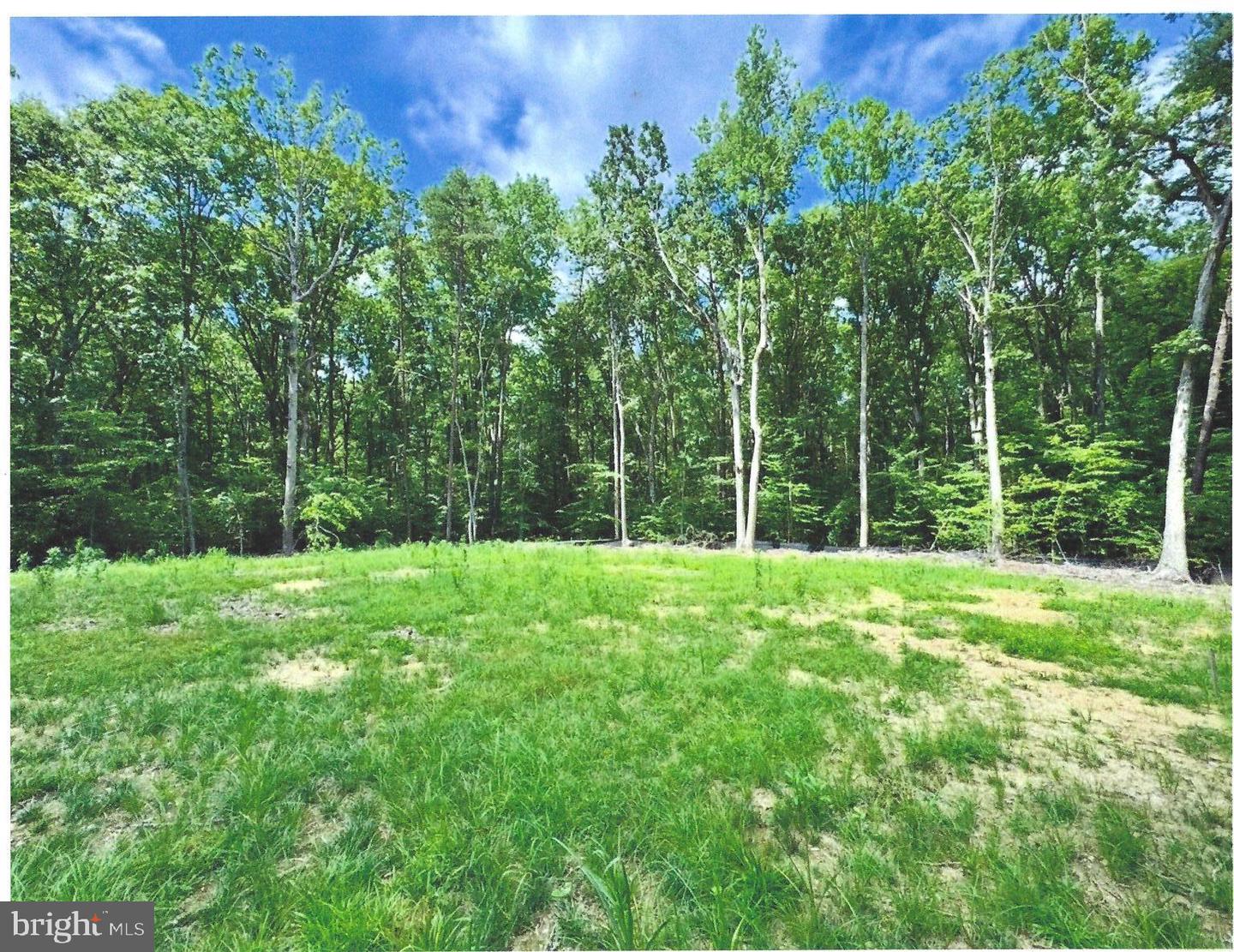 14409 SPOTSWOOD FURNACE RD, FREDERICKSBURG, Virginia 22407, ,Land,For sale,14409 SPOTSWOOD FURNACE RD,VASP2037596 MLS # VASP2037596